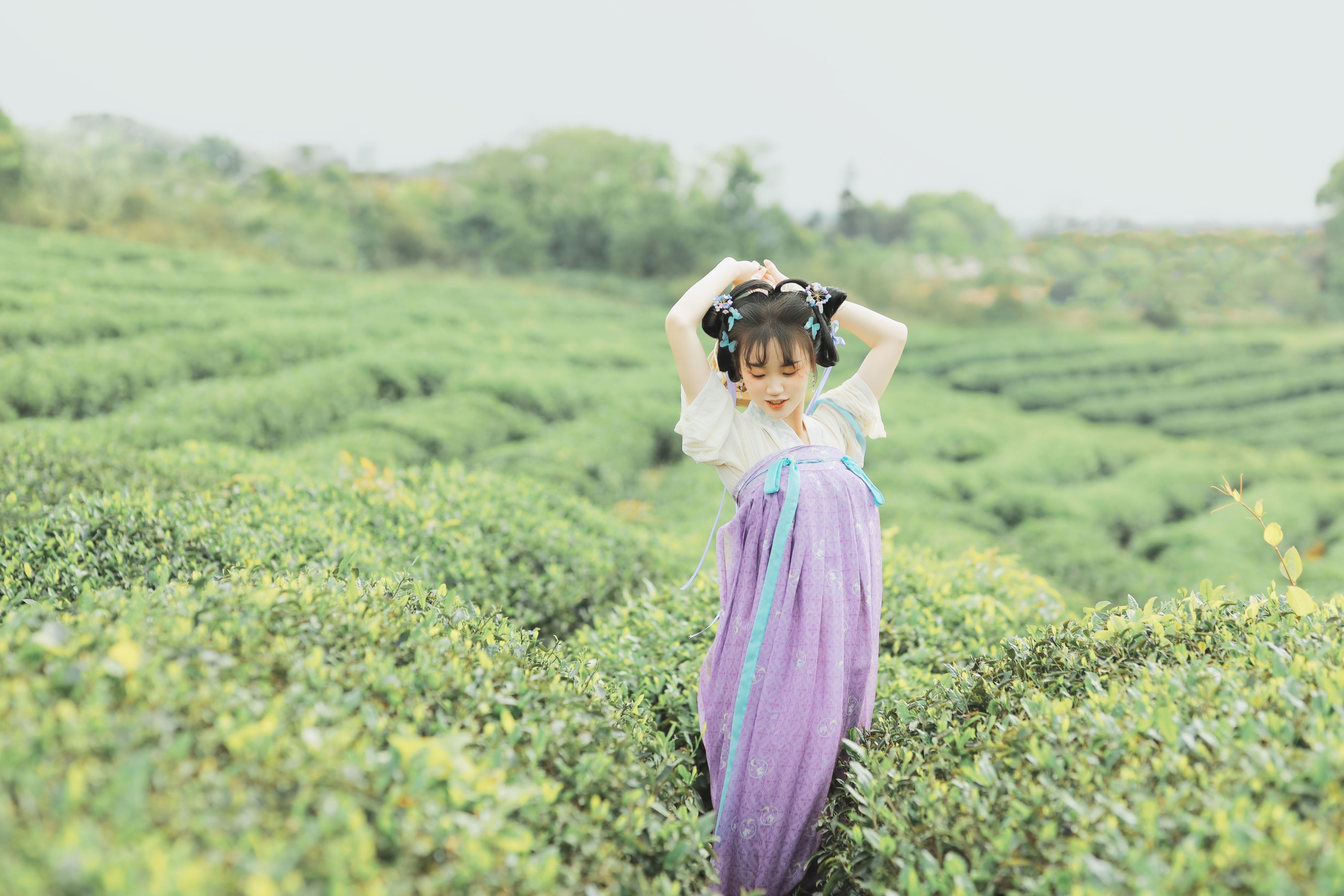 一顆柚子 – 《青青白茶》[33P]-图云谷