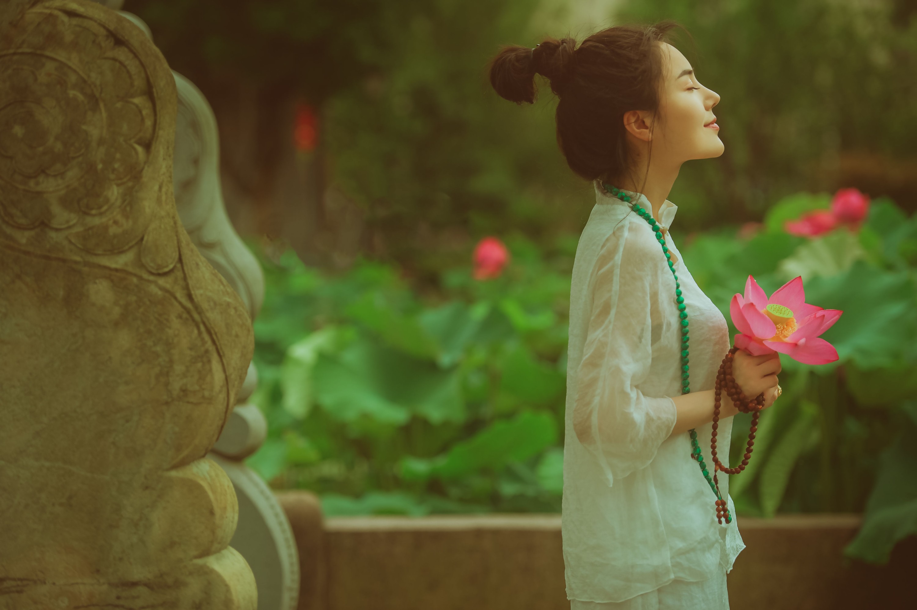 棵棵树 – 《赏荷记》[36P]-图云谷