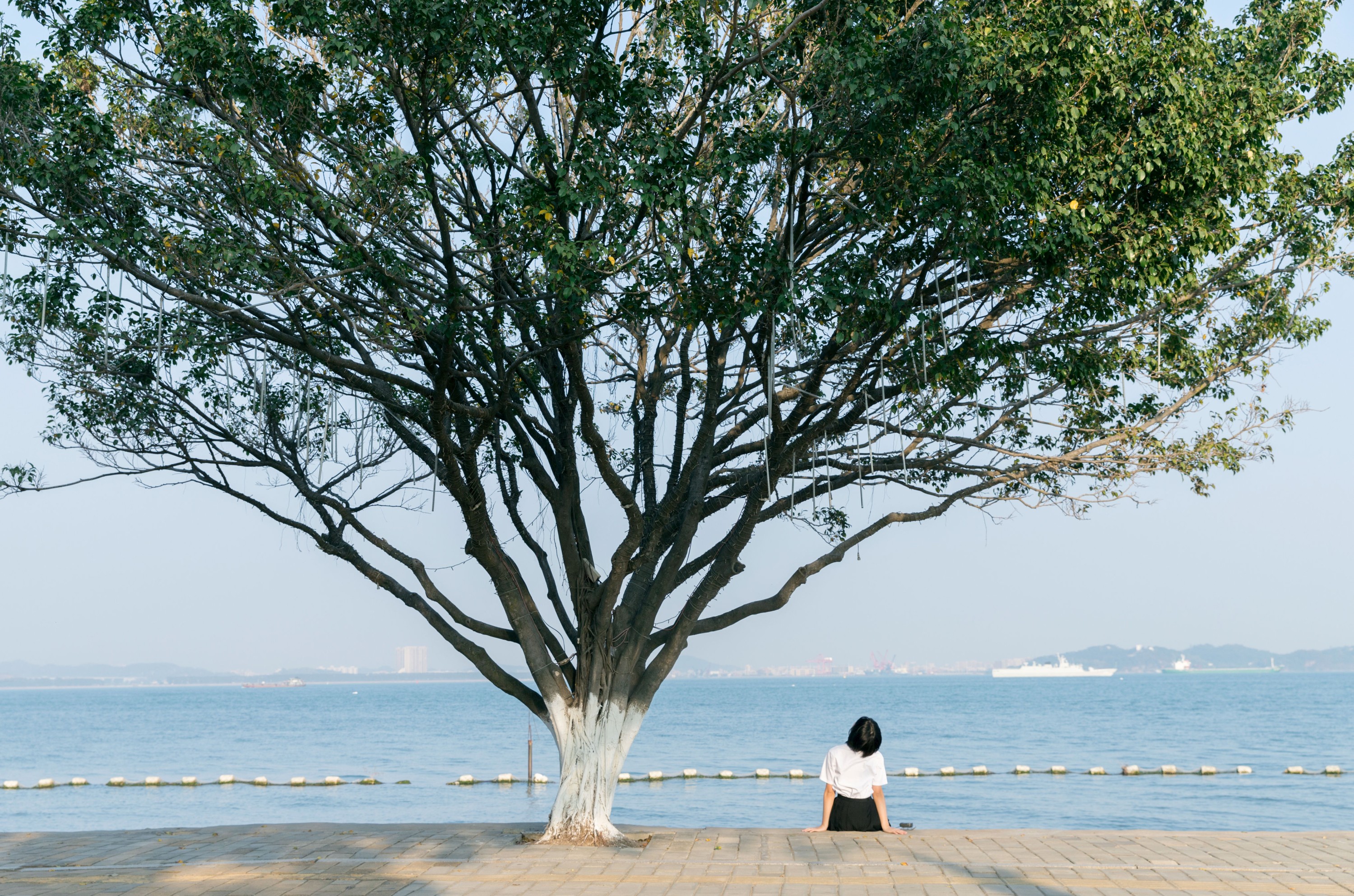 yeye – 《海街日记》[31P]-图云谷