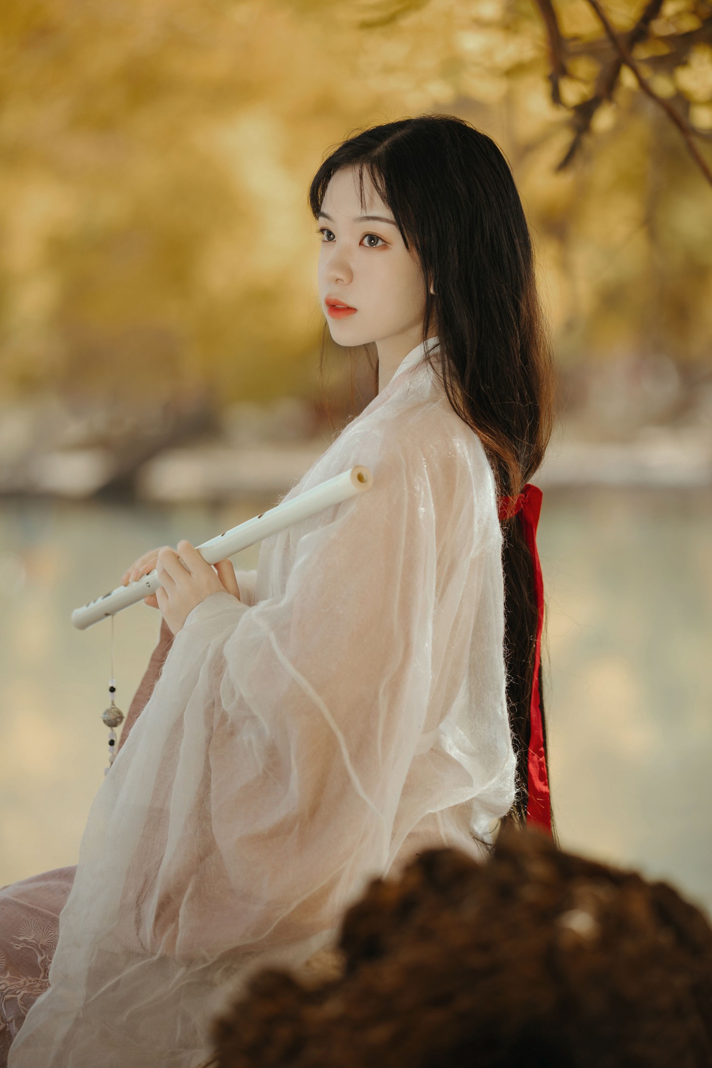 薄菏 – 《蒹葭》[26P]-图云谷