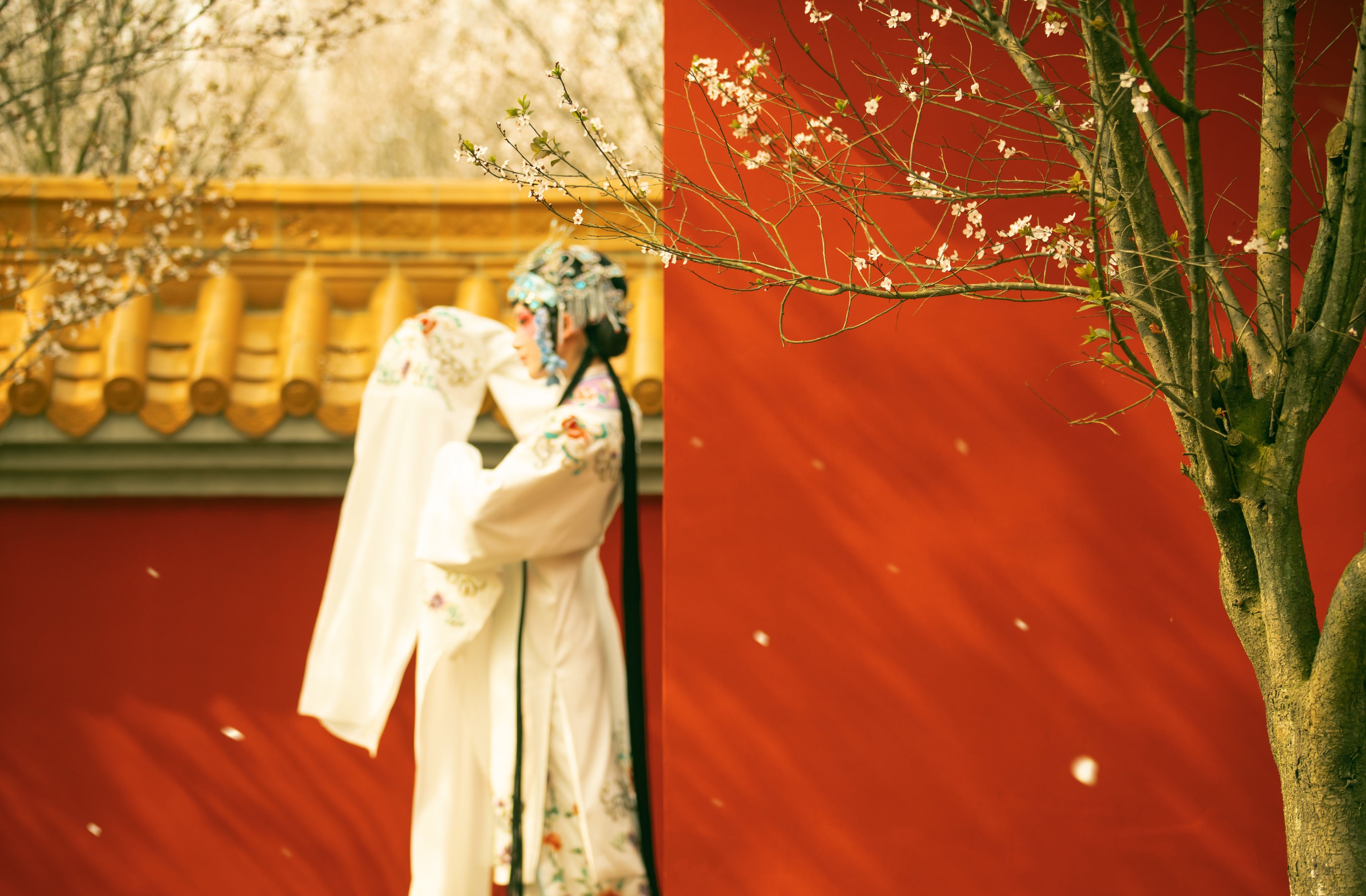 修水凝花 – 《花满枝》[23P]-图云谷