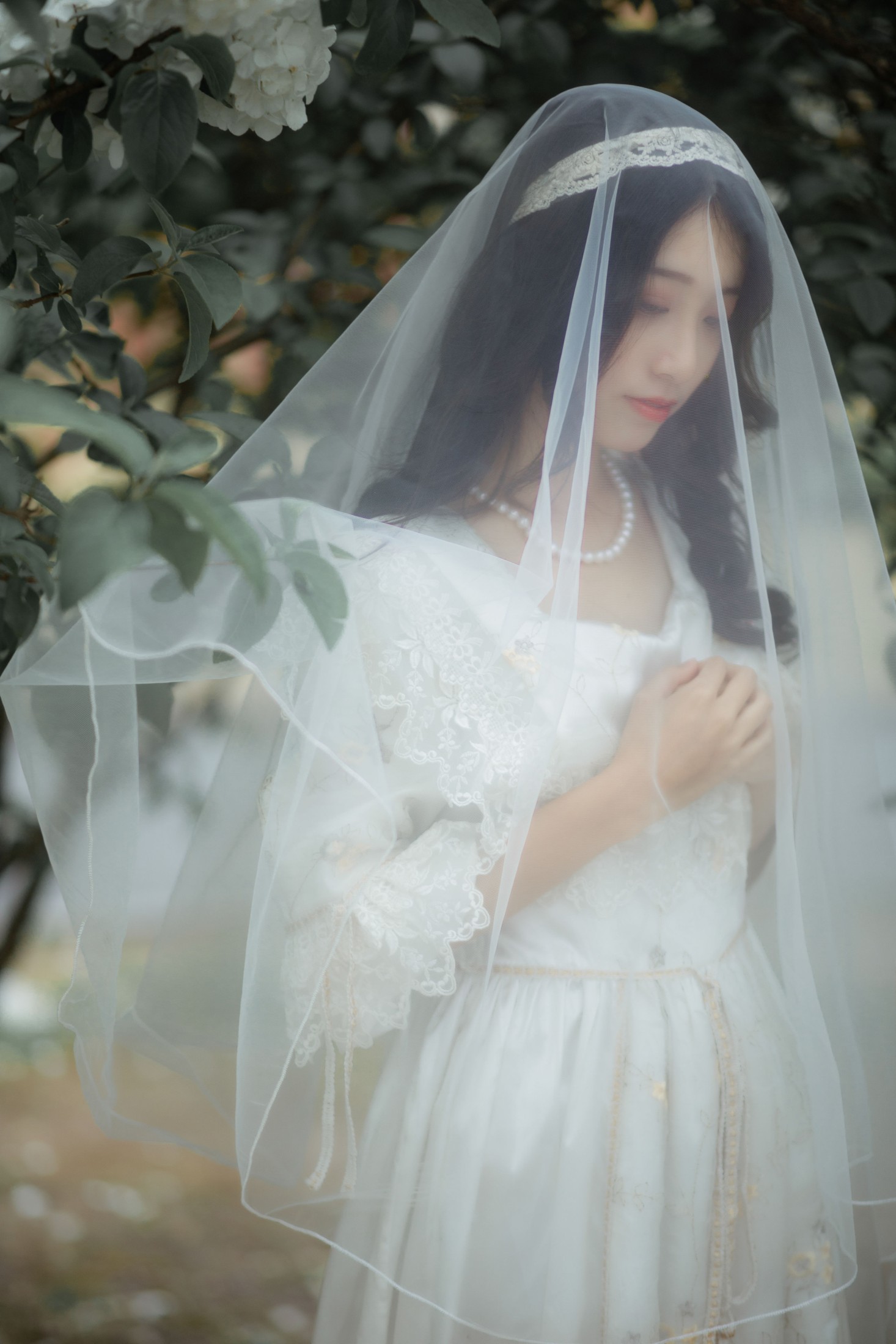 小清菡呀  – 《春》[21P]-图云谷