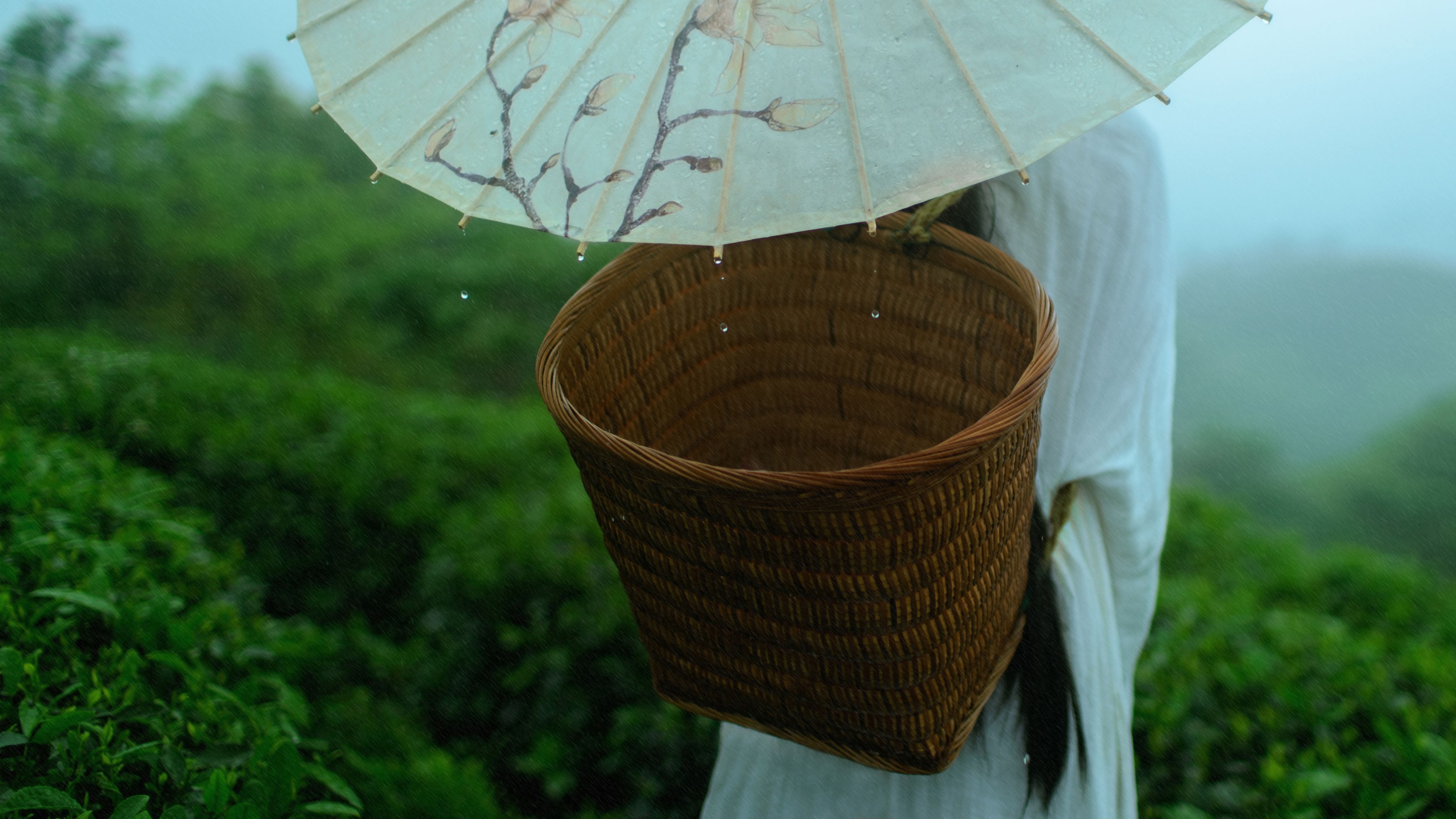 初茶 – 《空山灵雨》[27P]-图云谷