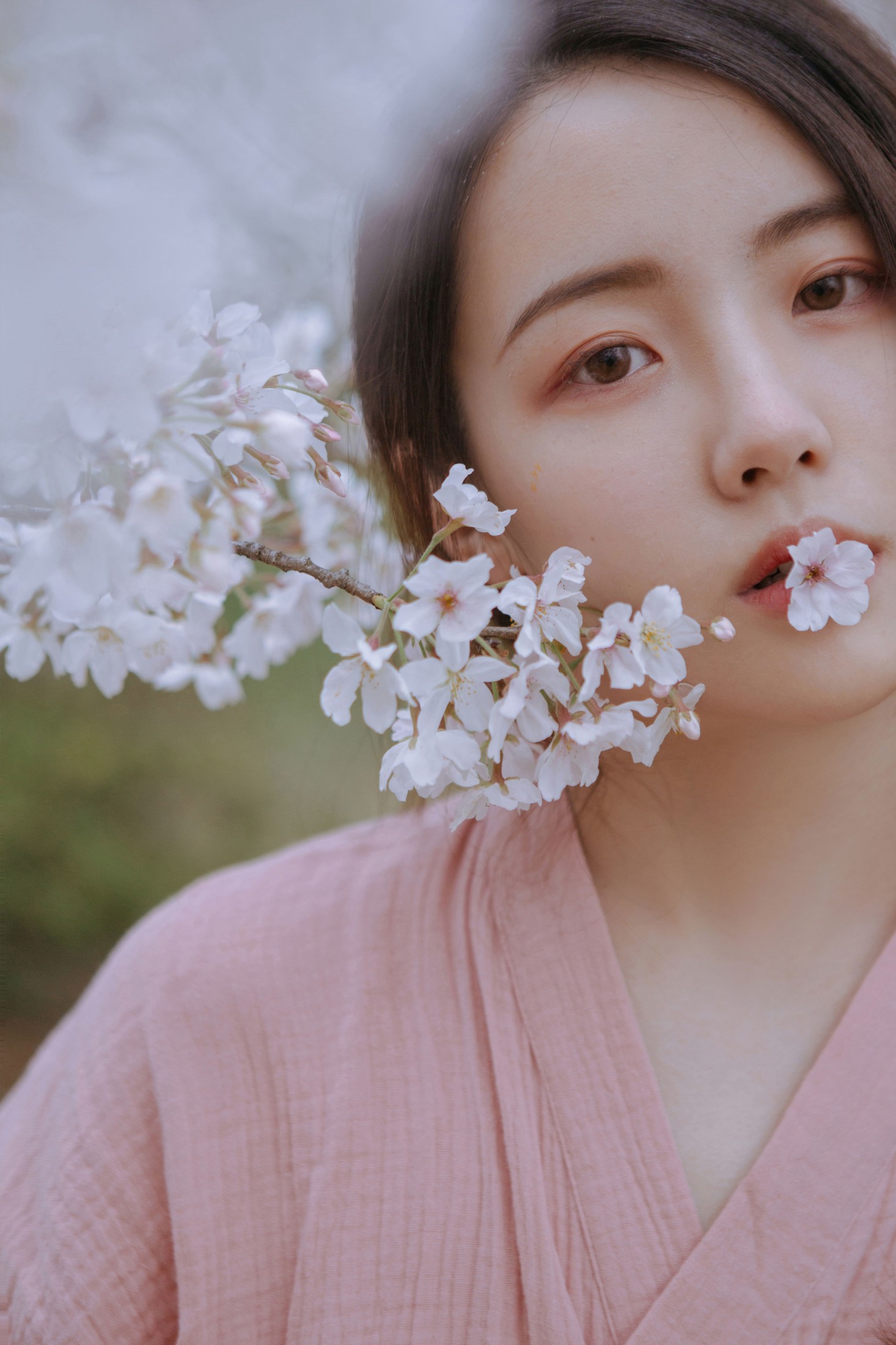 一只小四月_ – 《起风渐暖，樱花将灿》[24P]-图云谷