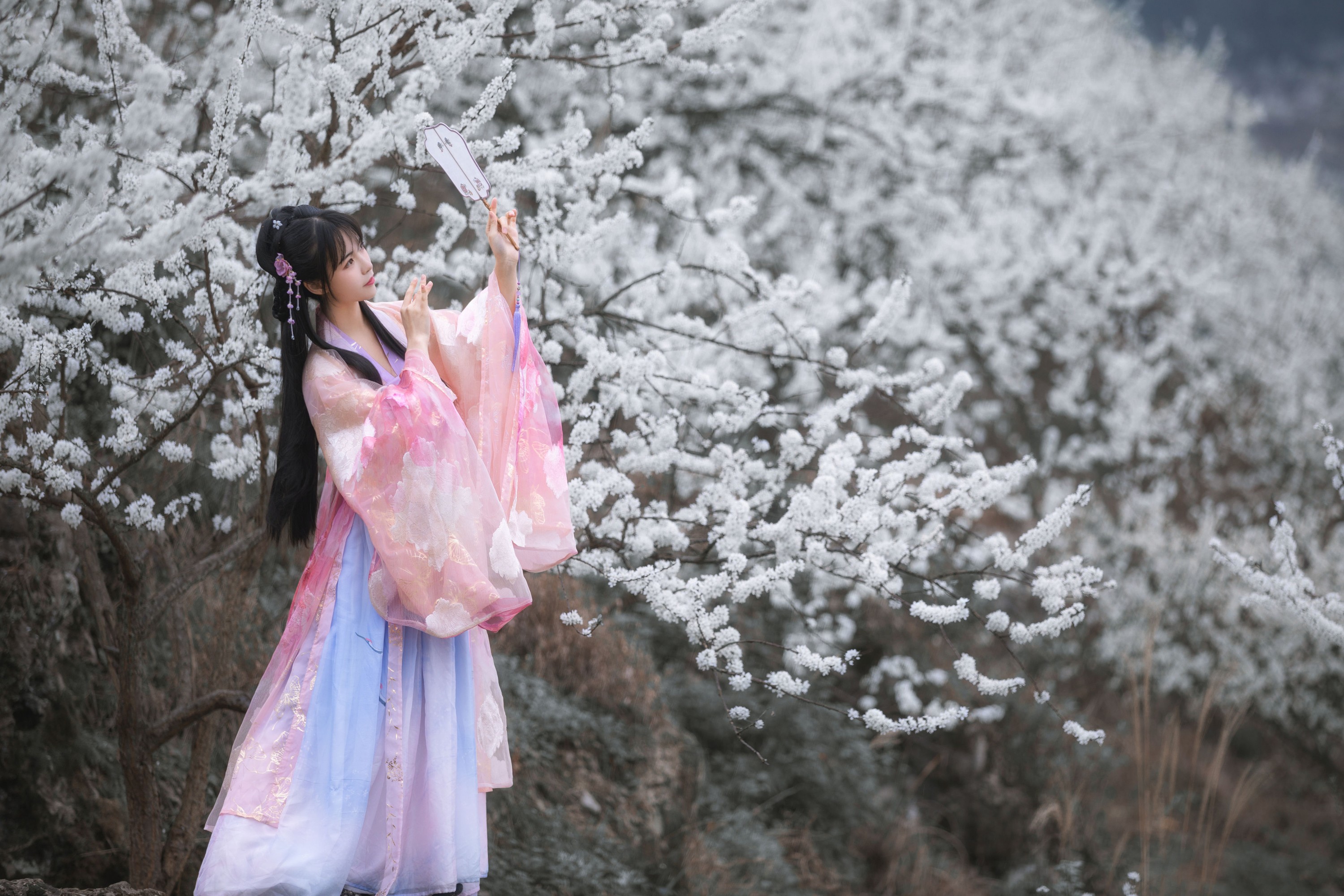 赵瑞洁EZ_ – 《杏花弦外雨》[23P]-图云谷