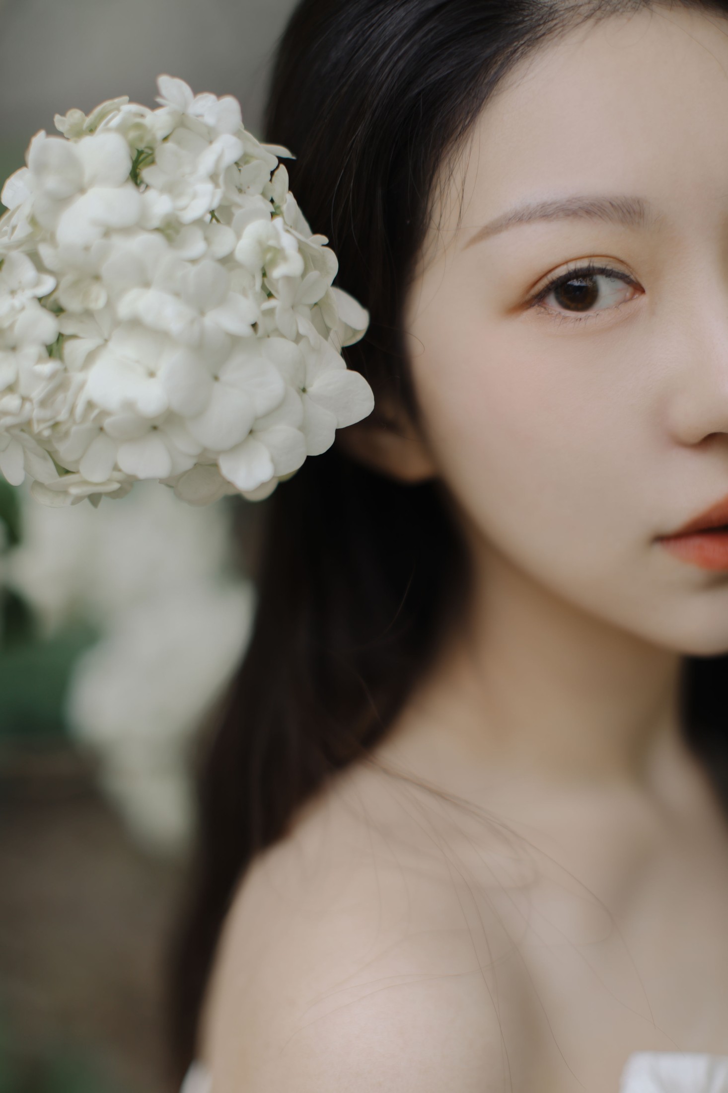 小汤姆 – 《绣球花开》[22P]-图云谷