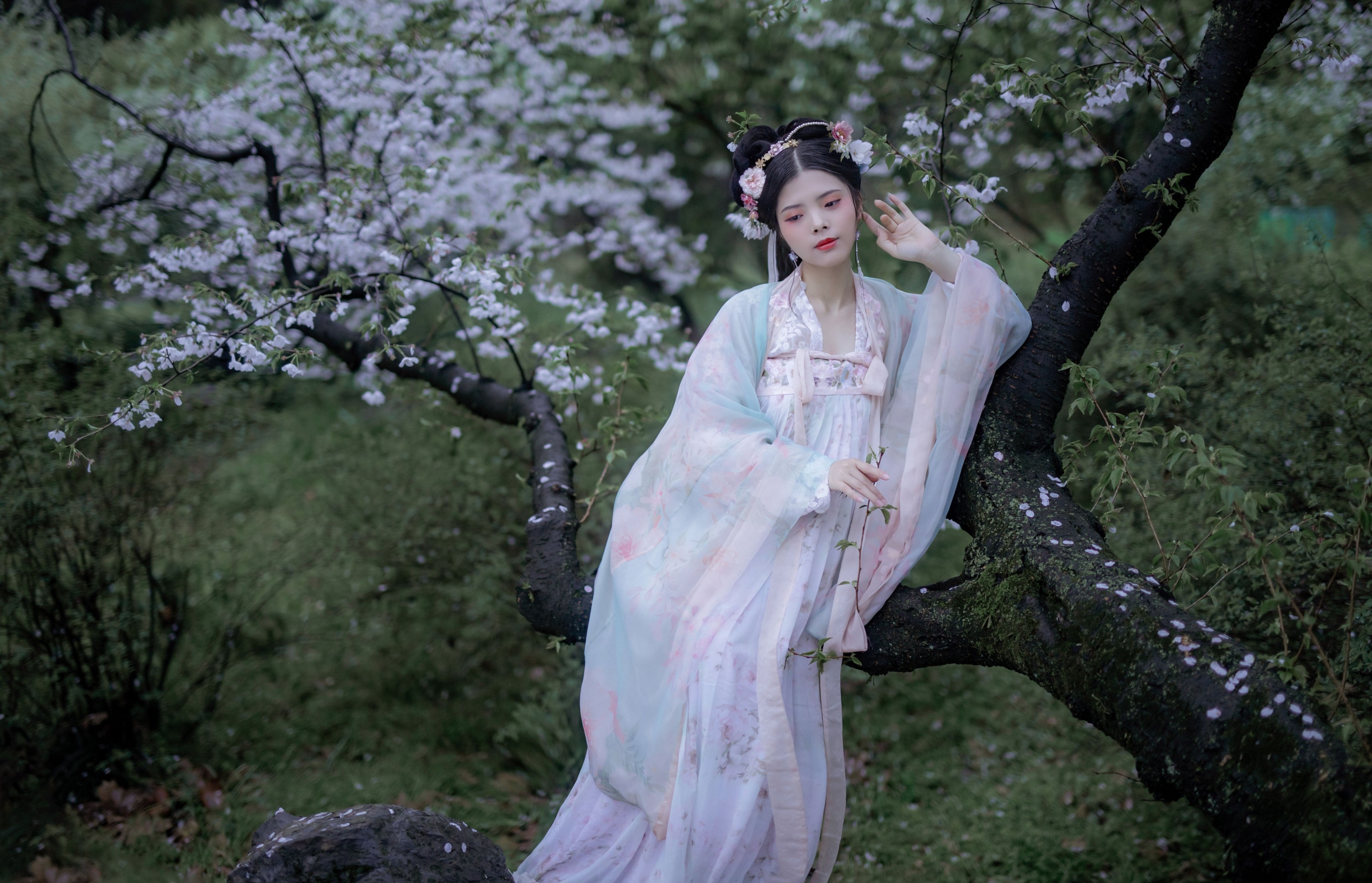 Abbye_e章 – 《樱》[22P]-图云谷
