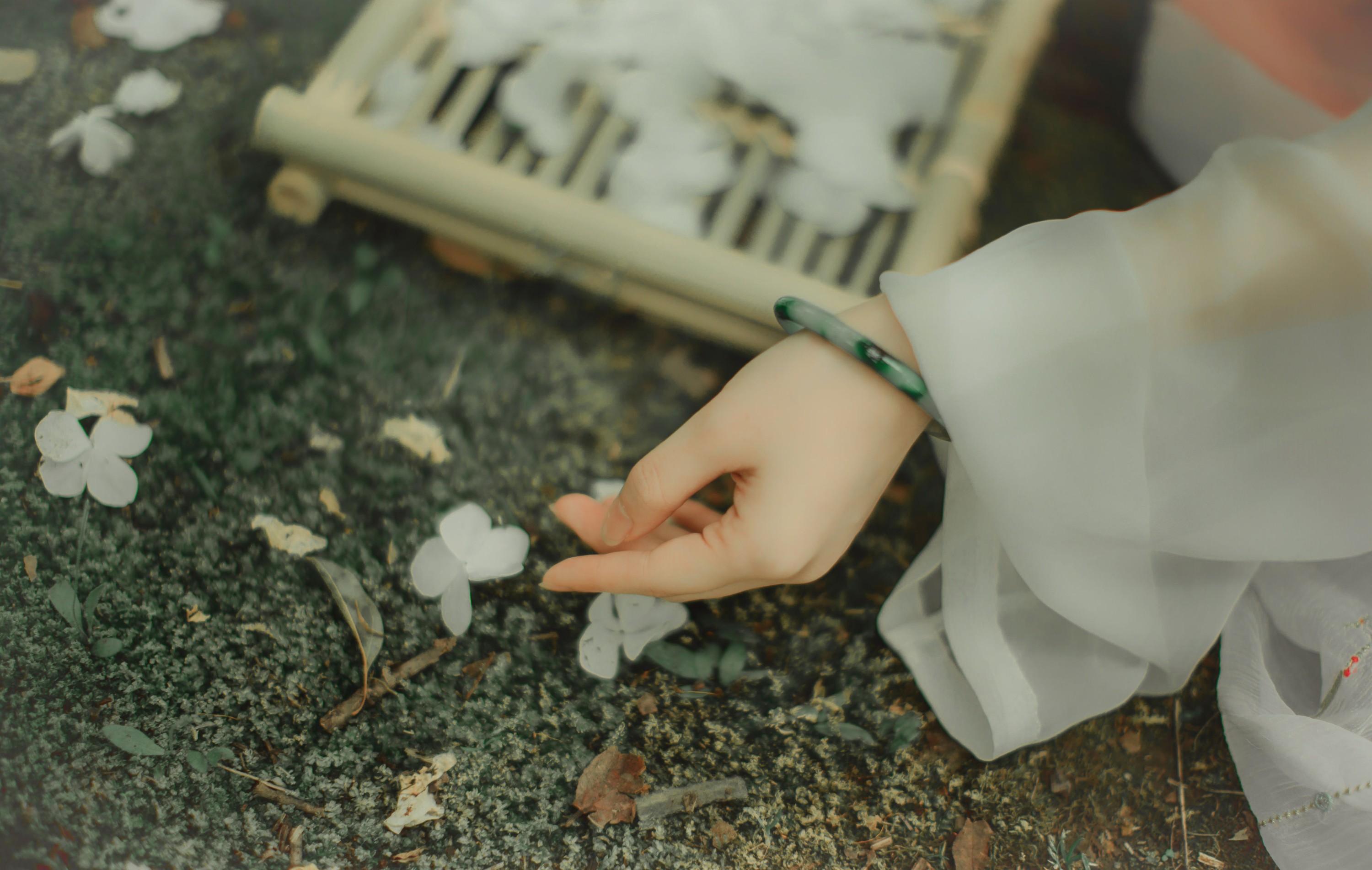 猪系少女日 青暮从山 – 《拂花》[21P]-图云谷