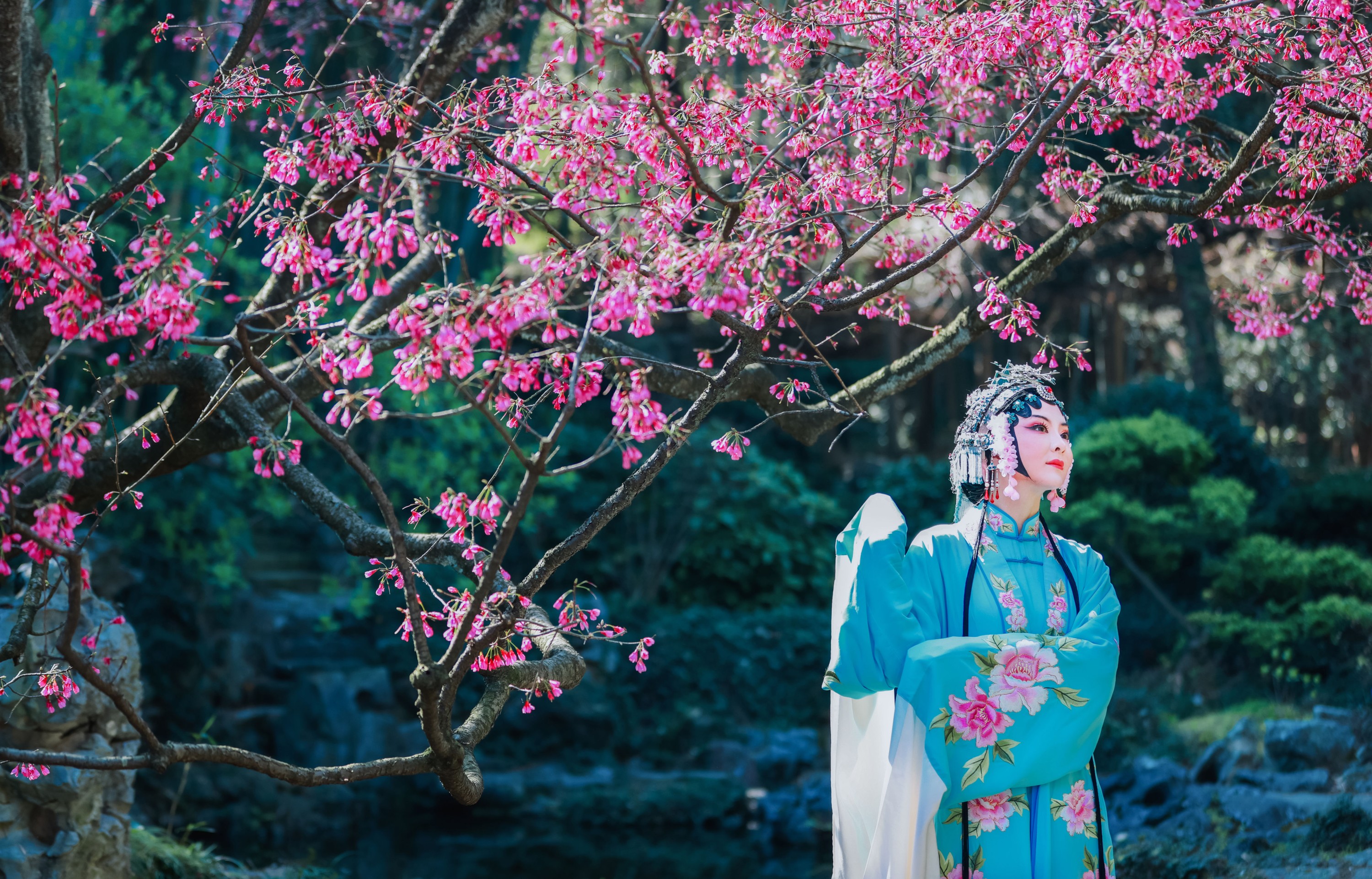 丹琼 – 《樱花有戏》[24P]-图云谷