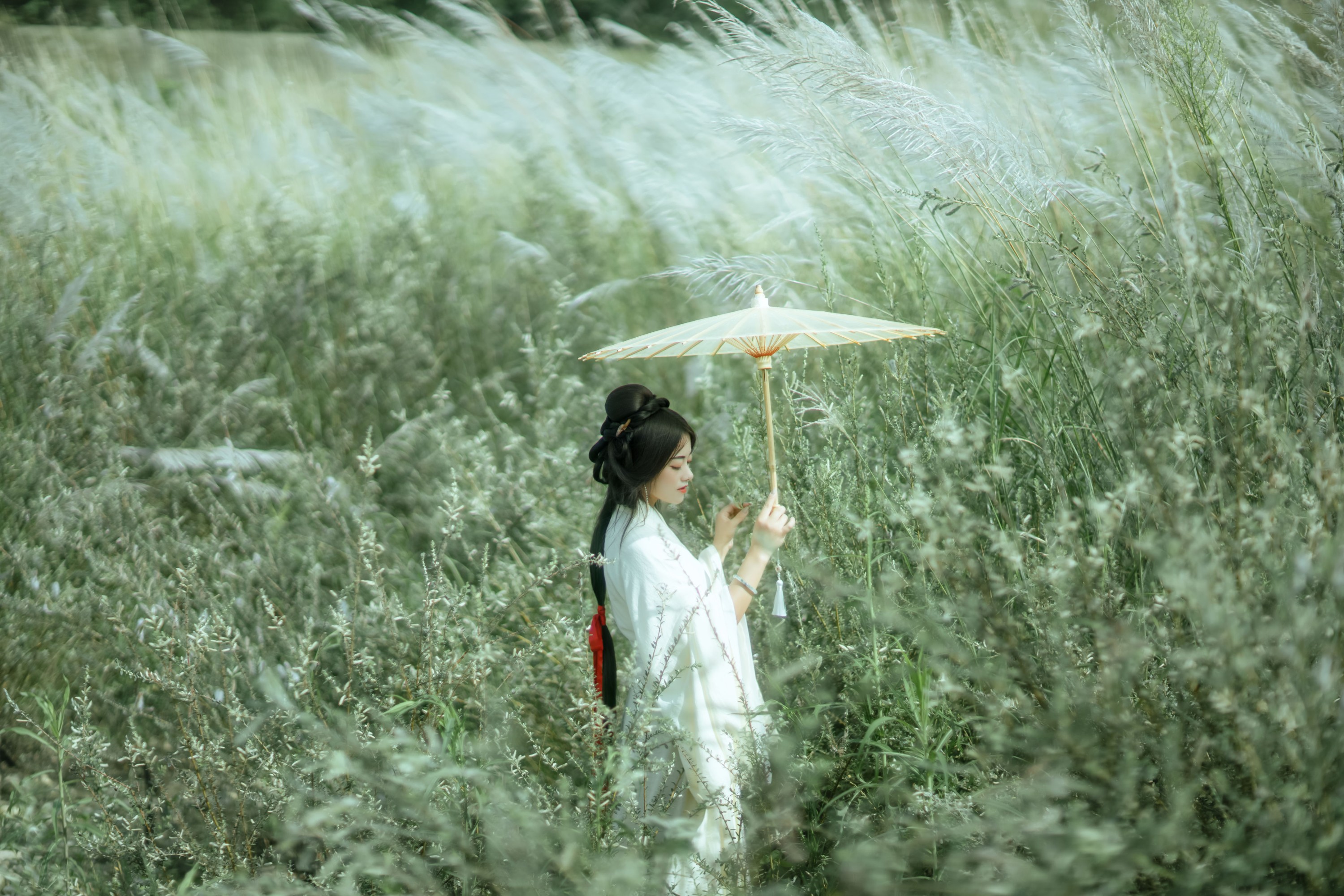 陌颜 – 《芦花漫》[30P]-图云谷