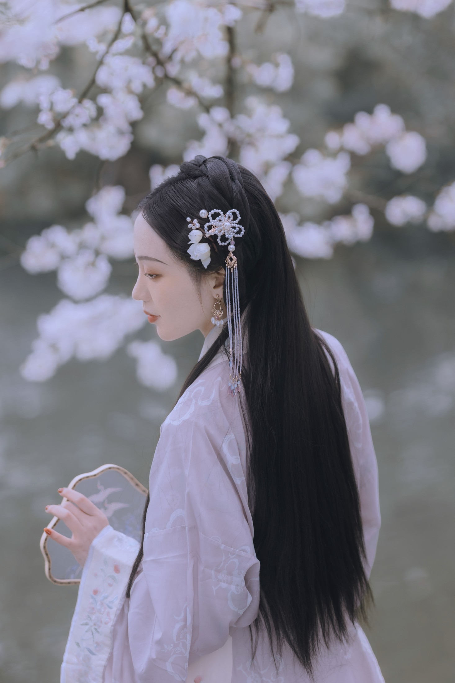日鹅夜鹅想食烧鹅 – 《樱花落》[26P]-图云谷